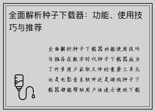 全面解析种子下载器：功能、使用技巧与推荐